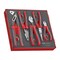 Teng Tools TED441-T 5 Piece Plier Set in EVA Foam Tray TED441-T - alternate 1